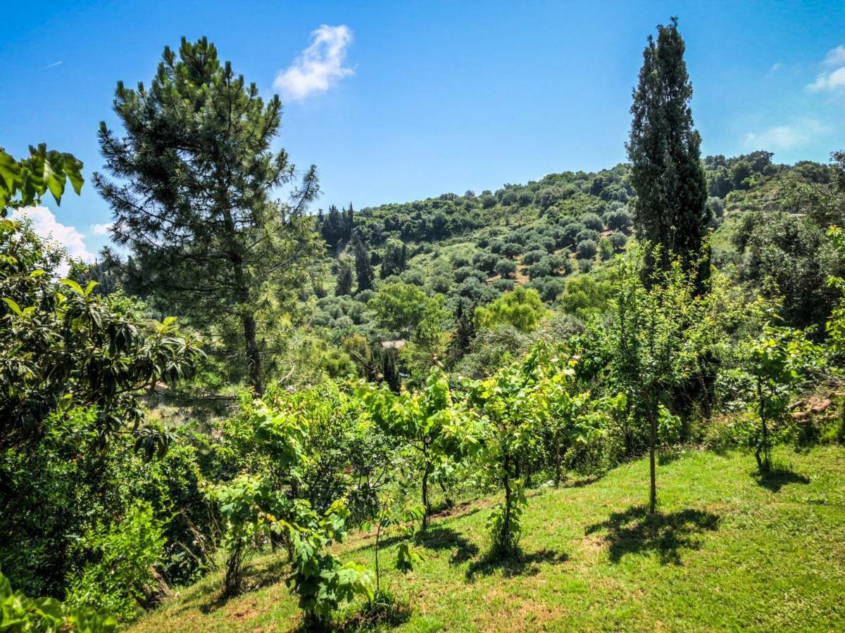 Hidden Gem In Nature Reserve Near The Beach - Corfu South Kritika  ภายนอก รูปภาพ