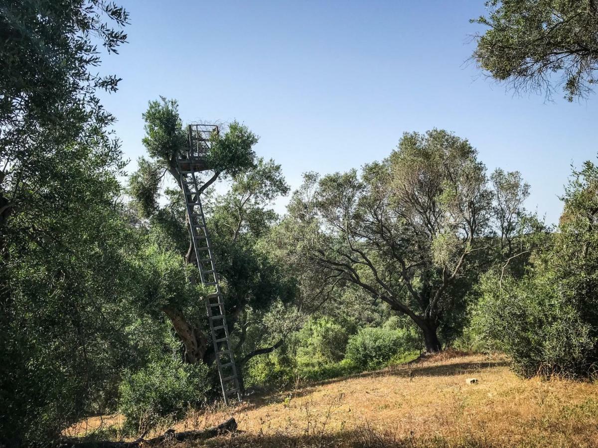 Hidden Gem In Nature Reserve Near The Beach - Corfu South Kritika  ภายนอก รูปภาพ